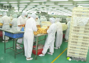 食品凈化車間日常監控和管理要求