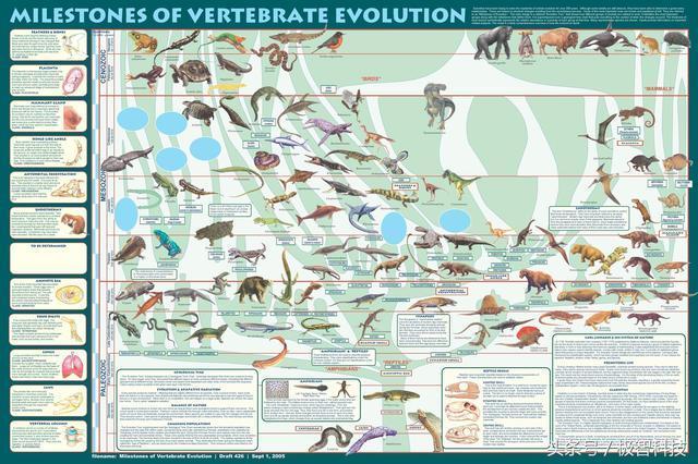 生物進化理論為何可以用在飛行器的優(yōu)化設計中?讀完就懂