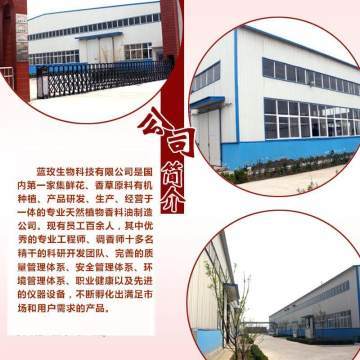 天竺葵純露 深層凈化肌膚，煥活水潤光彩——藍玫丫廠家直銷美容院裝專業(yè)解析